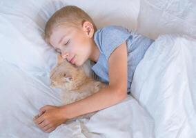 le garçon chutes endormi et câlins le sien gingembre chat, qui dort avec lui en dessous de le couvertures. les enfants et animaux domestiques. le chat dort avec le bébé. le enfant est avoir prêt pour lit. photo