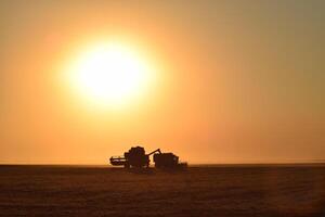 récolte par combine à le coucher du soleil. photo