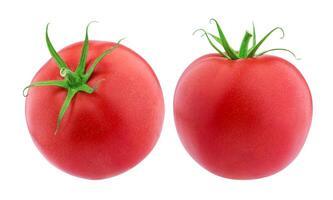 tomate isolé sur fond blanc photo