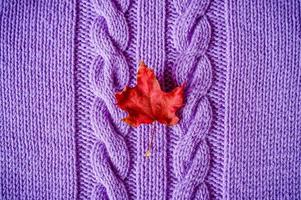 petite feuille d'érable d'automne sèche rouge vif sur un tissu tricoté violet ou un pull avec des nattes photo