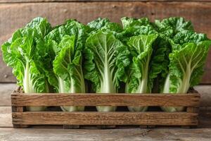 ai généré bok choy isolé cuisine table professionnel La publicité nourriture la photographie photo