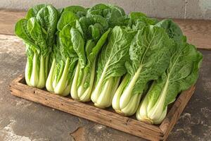 ai généré bok choy isolé cuisine table professionnel La publicité nourriture la photographie photo