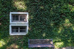 le des murs de le maison sont couvert avec velcro les plantes. photo