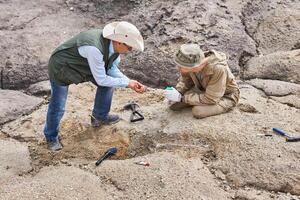 archéologues ou paléontologues dans une champ expédition discuter a trouvé ancien des os photo