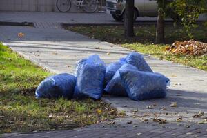 Sacs avec sec feuilles. nettoyage le feuilles dans le parc photo