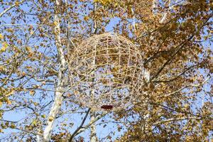 Balle en dehors de une guirlande pendaison dans le parc. éclairage décoratif élément. photo