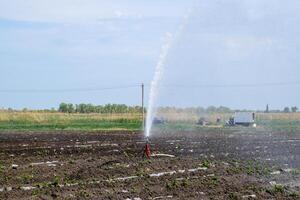 irrigation système dans champ de melons. arrosage le des champs. arroseur photo