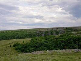 forêt toundra paysage dans le été. taïga de Sibérie. Yamal. photo