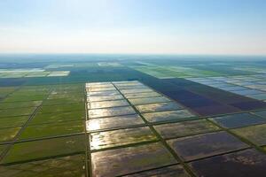 le riz des champs sont inondé avec l'eau. paysage dans de face de le Soleil. inondé riz rizières. agronomique méthodes de croissance riz dans le des champs. photo