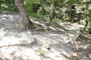 chemin posé en dehors de pierre dalles. une chemin dans le montagnes. photo