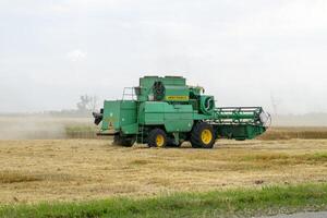 combiner recueille sur le blé culture. agricole machinerie dans le champ. photo