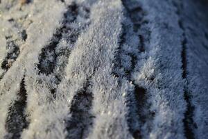 givre sur arbre tronc surface photo