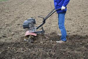 plantation patates en dessous de le à pied tracteur photo