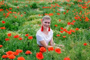 blond Jeune femme dans rouge jupe et blanc chemise, rouge des boucles d'oreilles est dans le milieu de une coquelicot champ. photo