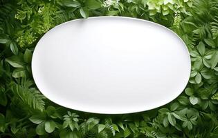 ai généré blanc ovale assiette dans verdure verdure Contexte. photo