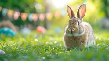 ai généré une magnifique duveteux Pâques lapin cache coloré des œufs dans le vert herbe et regards à le caméra photo