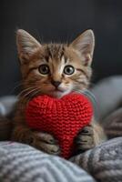 ai généré mignonne chaton en portant une rouge tricoté cœur dans le sien mains photo