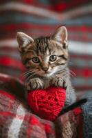 ai généré mignonne chaton en portant une rouge tricoté cœur dans le sien mains photo