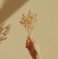 ai généré une personne main est en portant une séché fleur sur une beige Contexte photo