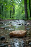 ai généré une tranquille, minimaliste forêt courant avec une seul, lisse Roche dans le l'eau photo