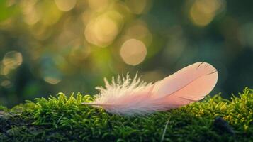 ai généré une serein photo de une lumière rose plume mensonge un haut une moussu surface