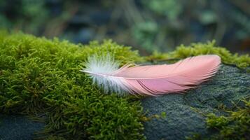 ai généré une serein photo de une lumière rose plume mensonge un haut une moussu surface