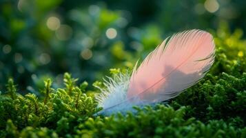 ai généré une serein photo de une lumière rose plume mensonge un haut une moussu surface