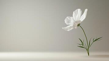 ai généré minimaliste photo avec une Célibataire fleur, symbolisant une de la mère l'amour et nourrir présence