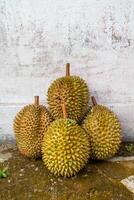 local indonésien durian est délicieux et contient divers vitamines et minéraux, fournir une délicieux goût expérience. photo