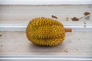 local indonésien durian est délicieux et contient divers vitamines et minéraux, fournir une délicieux goût expérience. photo