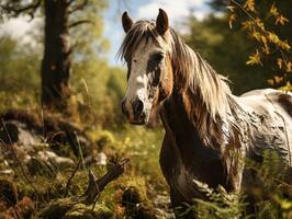 ai généré portrait de une cheval dans le forêt. photo