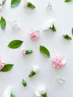 floral modèle de rose et blanc œillets, vert feuilles photo