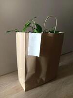 éco amical papier sac avec vide blanc le reçu sur en bois sol avec plante à l'intérieur. maquette avec copie espace pour logo ou reçu. nourriture ou fleurs livraison. épicerie sac. photo