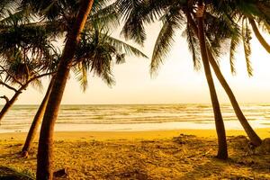 plage de la mer avec cocotier au coucher du soleil photo