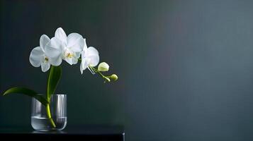 ai généré une blanc fleur dans une verre vase sur une table photo