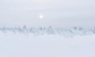 hiver paysage - couvert de neige forêt sur une Montagne passer et le Soleil brillant par une glacial brume photo