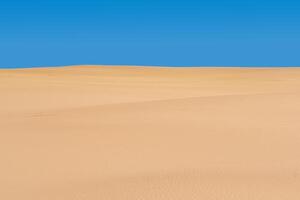 sans vie sablonneux désert paysage en dessous de bleu ciel photo