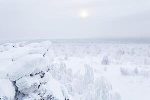 hiver vue de rocheux Montagne crête à le neigeux boisé collines dans glacial brouillard photo