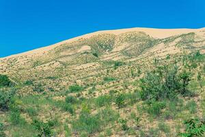 pente de une le sable dune avec les plantes épanouissement dans printemps, sarykoum dune dans Daghestan photo