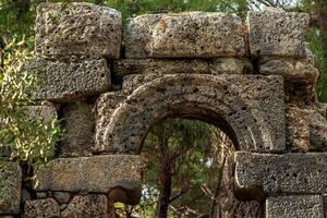 ruines de antique bâtiment parmi le forêt dans le ancien ville de phaselis photo