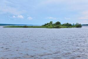 roseau île dans le milieu de le rivière photo