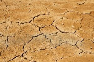 paysage - sec Terre avec fissures de boue photo