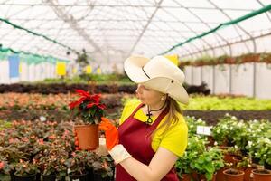 femme fleuriste dans une serre avec plantes d'intérieur photo