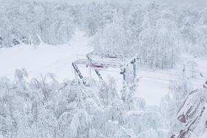 fin station de le ski ascenseur sur une couvert de neige sommet de la colline parmi glacial des arbres photo