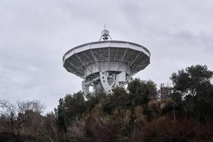 miroir de le astronomique radio télescope, visé à le ciel, est visible de le des arbres photo