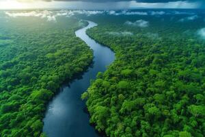 ai généré aérien vue de une brumeux tropical forêt tropicale pendant rivière inonder photo