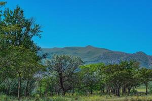 printemps ouvert bois dans le collines de le Caucase montagnes dans Daghestan photo