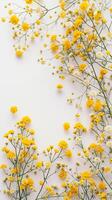 ai généré gypsophile lueur Jaune fleurit de au dessus photo