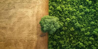 ai généré le résistance de la nature dans le visage de environnement défis. le régénérateur Puissance de les écosystèmes, soulignant le importance de protéger et restauration notre planète photo