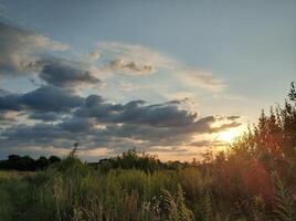 magnifique soir paysage, champ avec grand herbe, chemin et gros des nuages photo